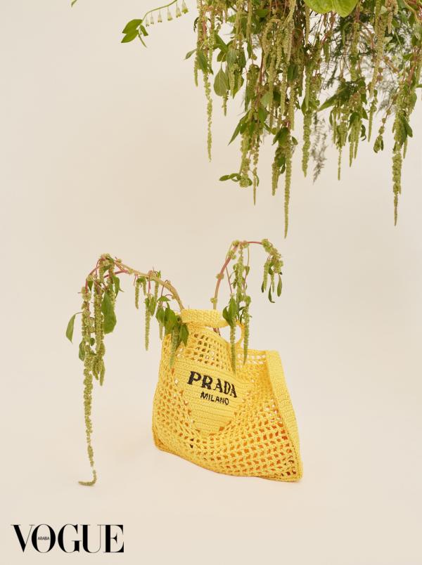 Plusia  Roms  Gallery