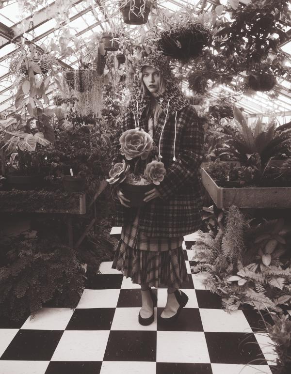 Daniela Paudice Gallery