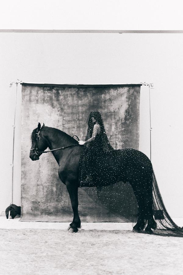 Ben Cope Gallery