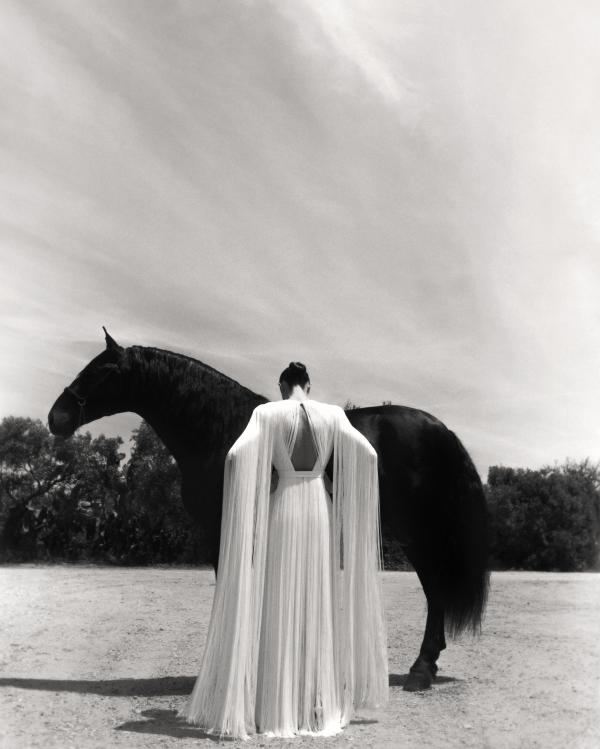 Andres Jimenez  Gallery