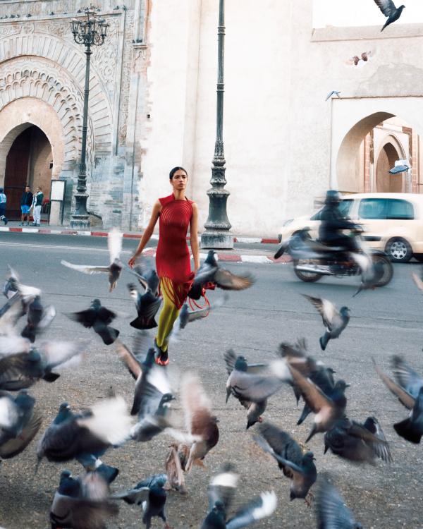 Andres Jimenez  Gallery