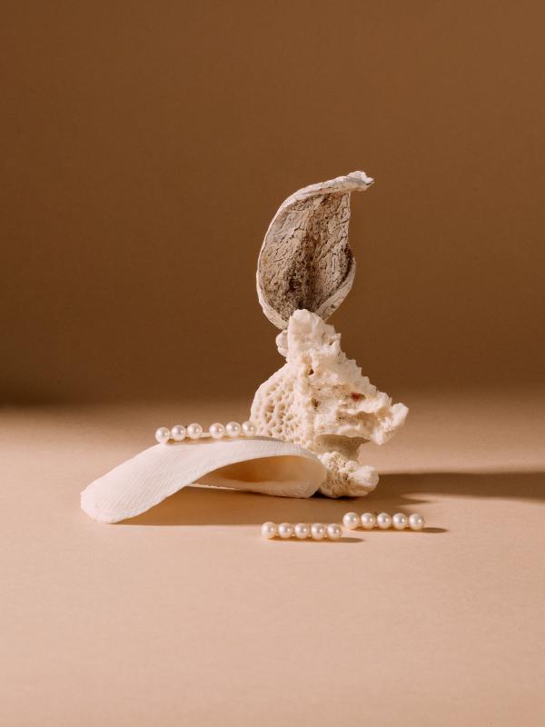 Oliver  Oglesby Gallery