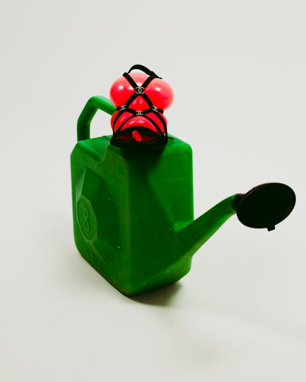 Yassine Taha Gallery