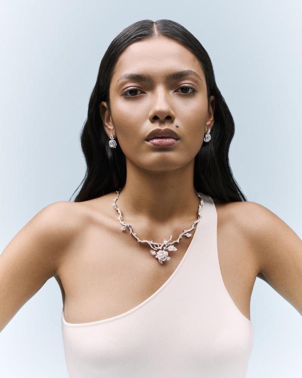 Jakub Plesniarski Gallery