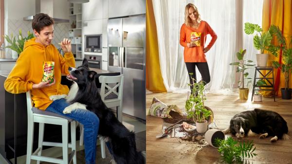 Przemek Kulikowski Gallery