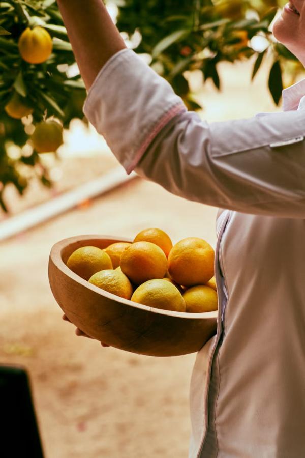 Will  Vendramini Gallery