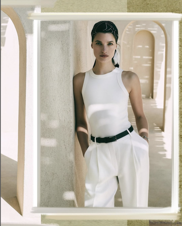 Will  Vendramini Gallery