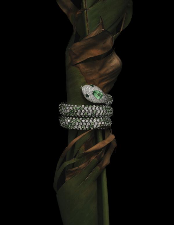 Sophia Cliffe Gallery