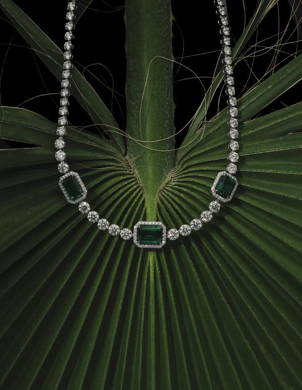 Sophia Cliffe Gallery