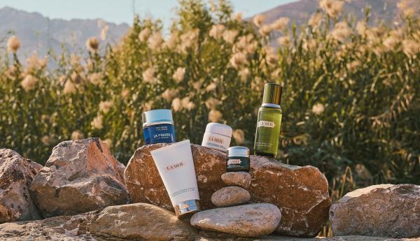 Sophia Cliffe Gallery