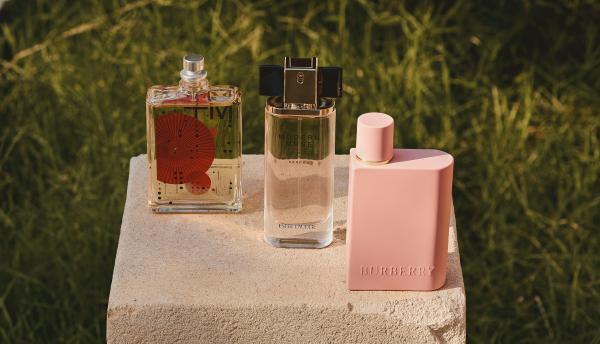 Sophia Cliffe Gallery