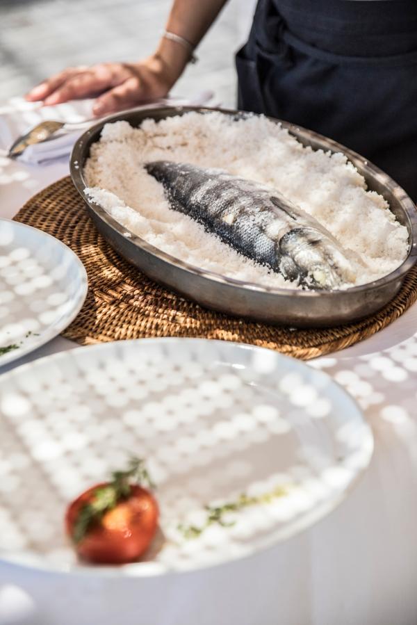 Rhiannon Taylor Gallery