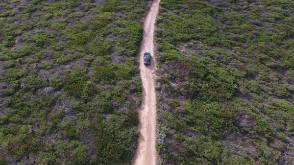 Rhiannon Taylor Gallery