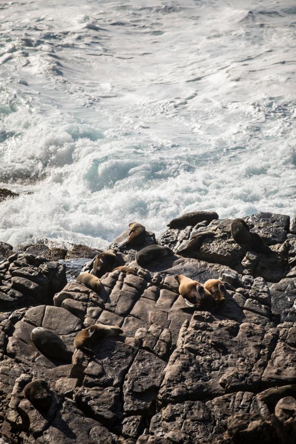 Rhiannon Taylor Gallery