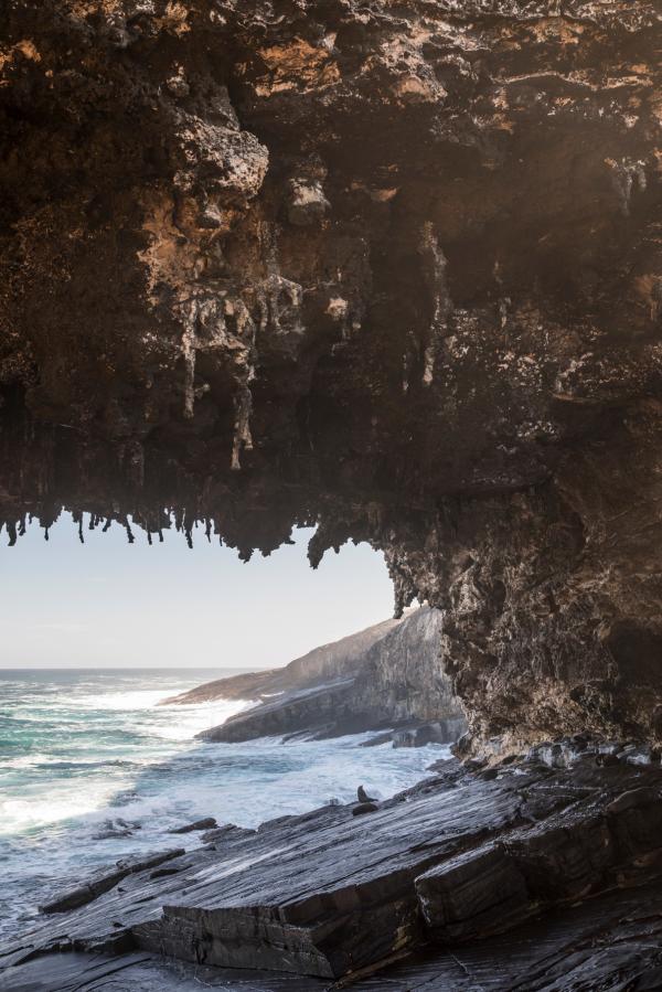 Rhiannon Taylor Gallery