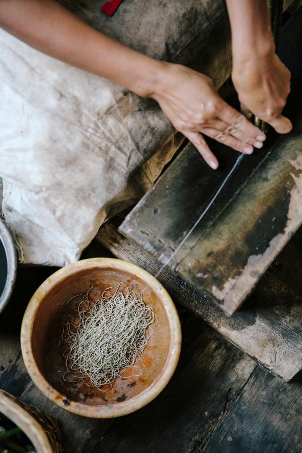 Rhiannon Taylor Gallery