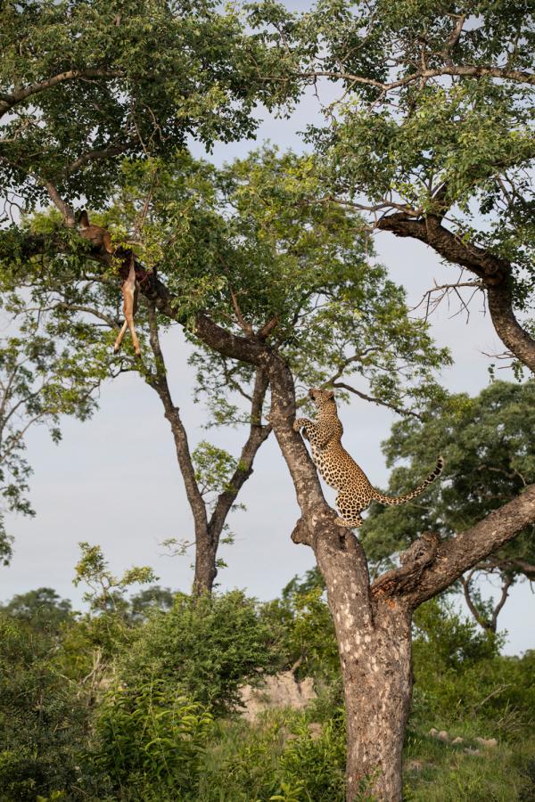 Rhiannon Taylor Gallery