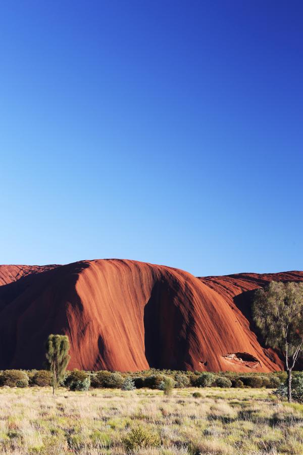 Rhiannon Taylor Gallery