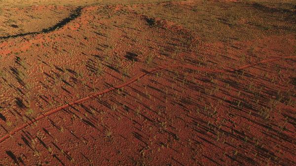 Rhiannon Taylor Gallery