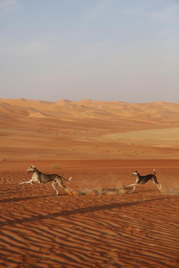 Rhiannon Taylor Gallery