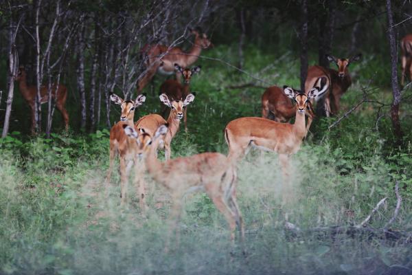 Rhiannon Taylor Gallery