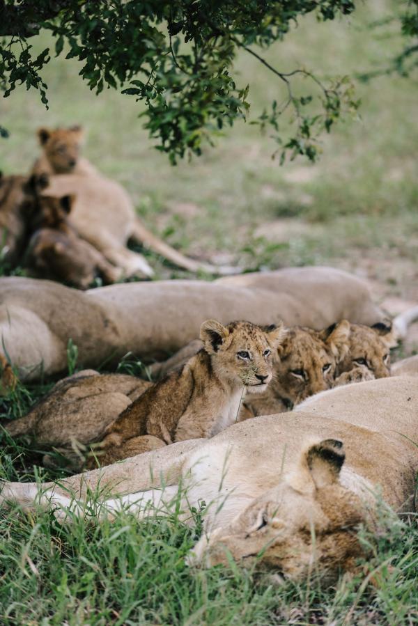 Rhiannon Taylor Gallery