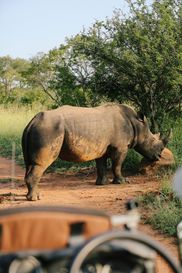 Rhiannon Taylor Gallery