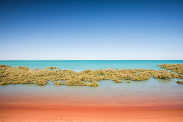 Rhiannon Taylor Gallery