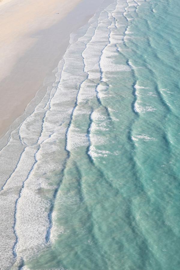 Rhiannon Taylor Gallery