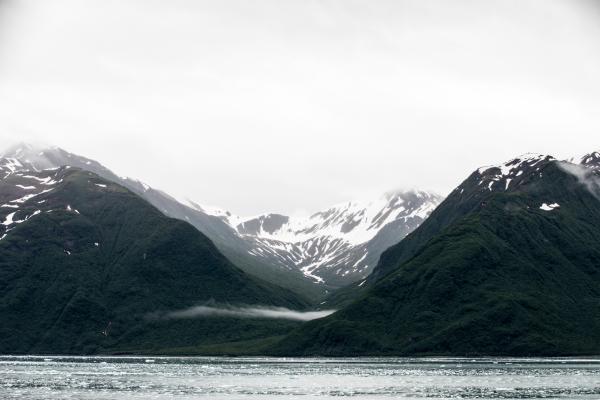 Rhiannon Taylor Gallery