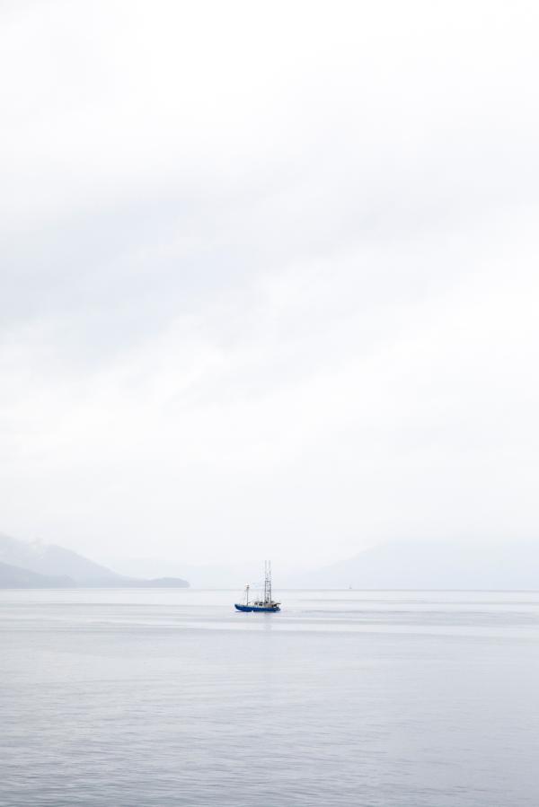 Rhiannon Taylor Gallery