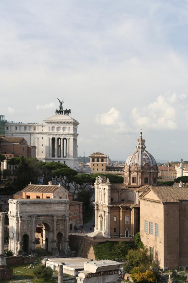 Rhiannon Taylor Gallery