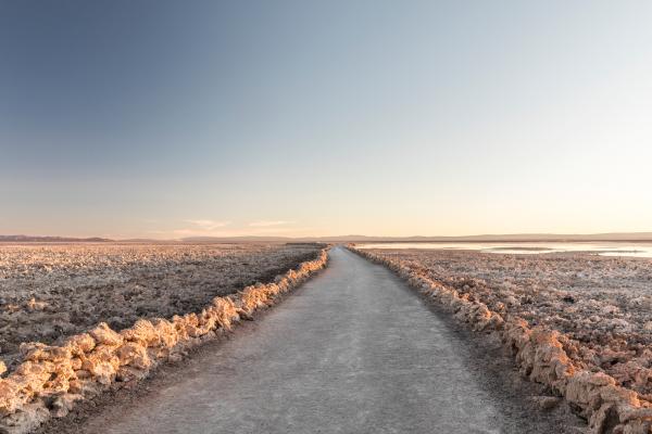 Rhiannon Taylor Gallery