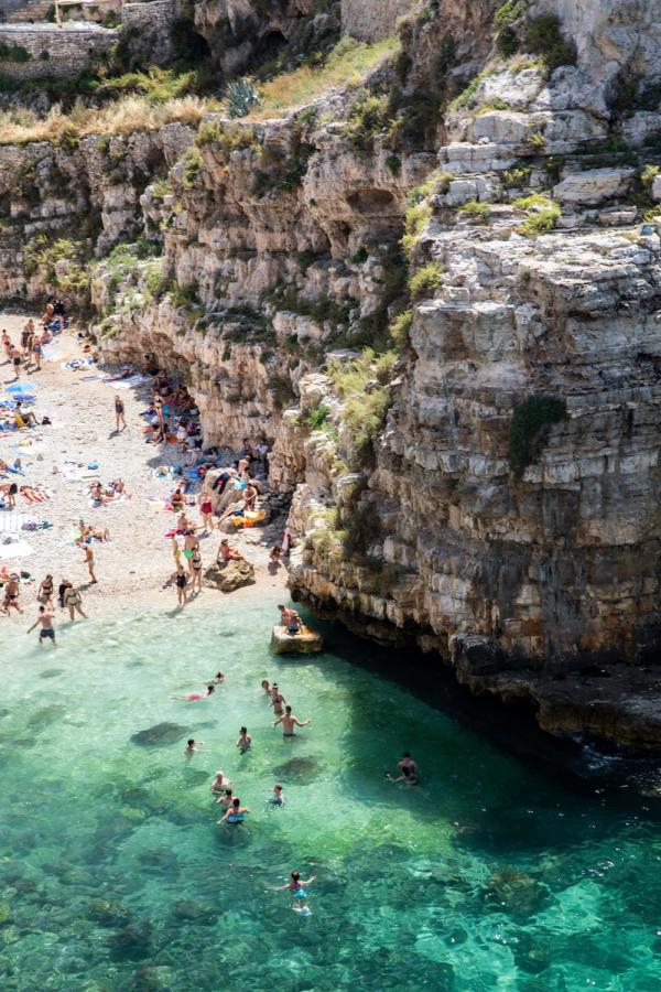 Rhiannon Taylor Gallery