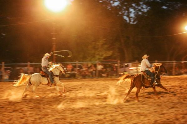 Rhiannon Taylor Gallery