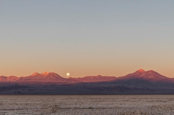 Rhiannon Taylor Gallery