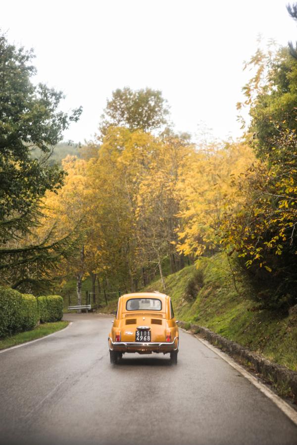 Rhiannon Taylor Gallery