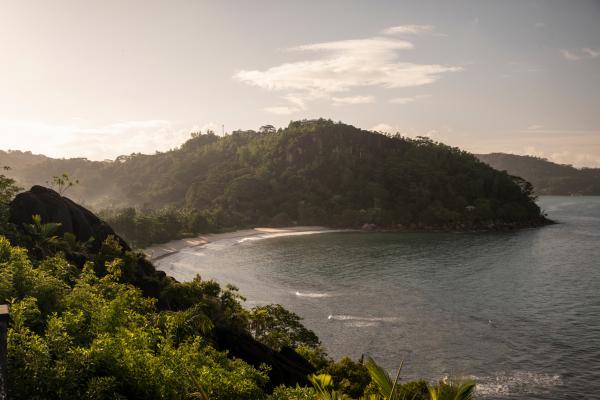 Rhiannon Taylor Gallery