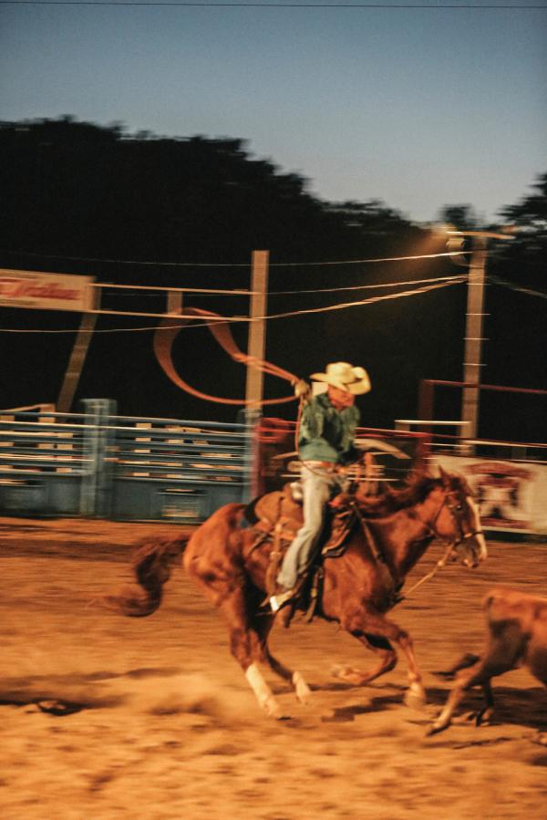 Rhiannon Taylor Gallery