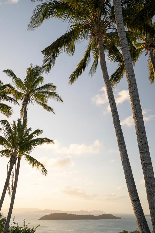 Rhiannon Taylor Gallery