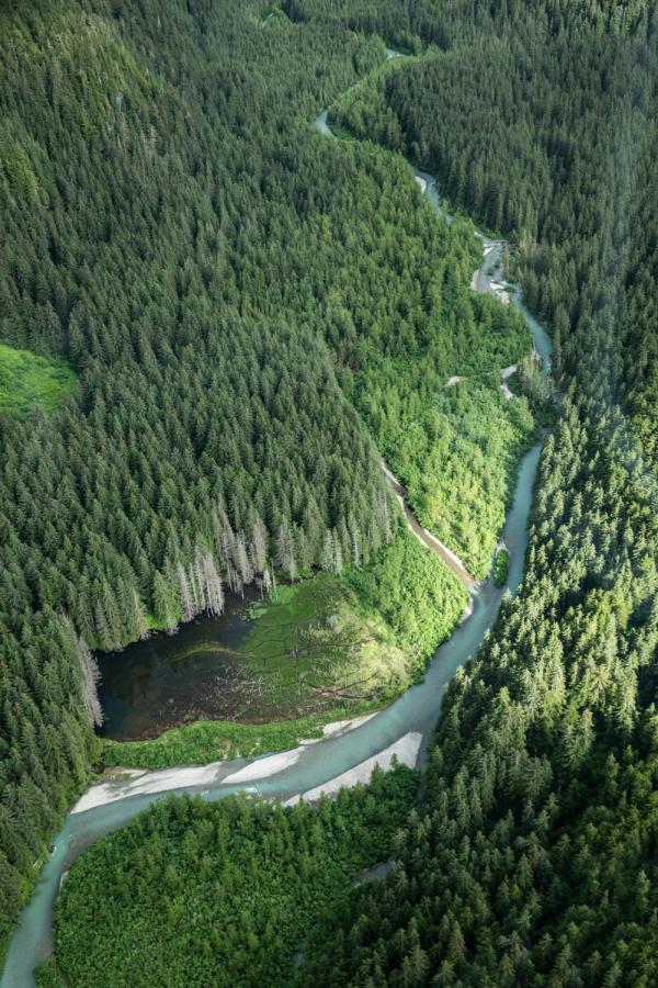 Rhiannon Taylor Gallery