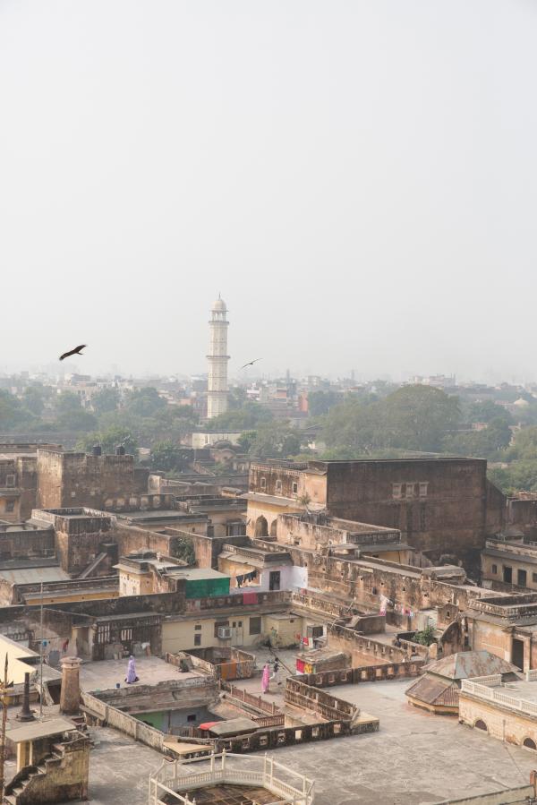 Rhiannon Taylor Gallery