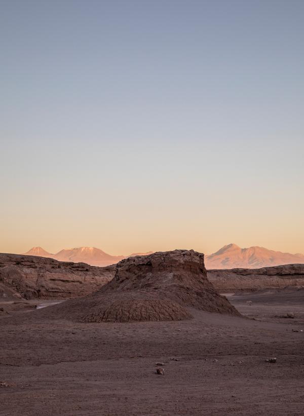 Rhiannon Taylor Gallery