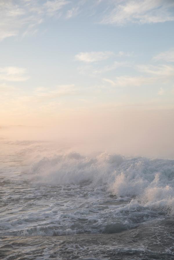 Rhiannon Taylor Gallery