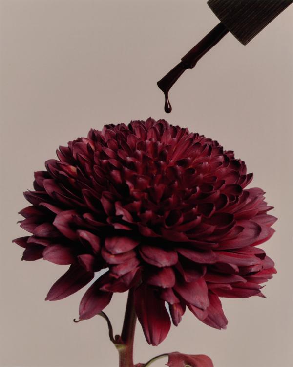 Mateusz  Stefanowski Gallery