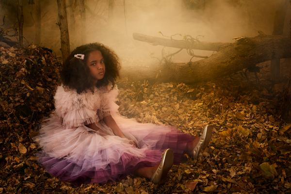 Vaughan  Treyvellan Gallery