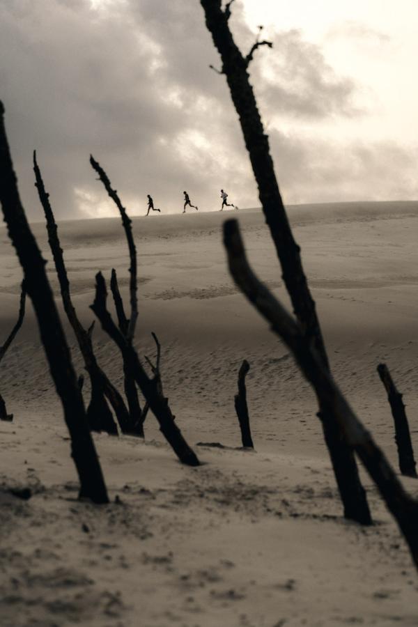 Marek Ogien Gallery